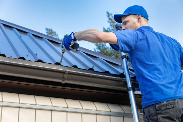 Best Roof Moss and Algae Removal  in Mogul, NV